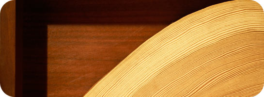 Individuelle Edition